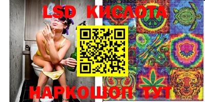 сатива Надым