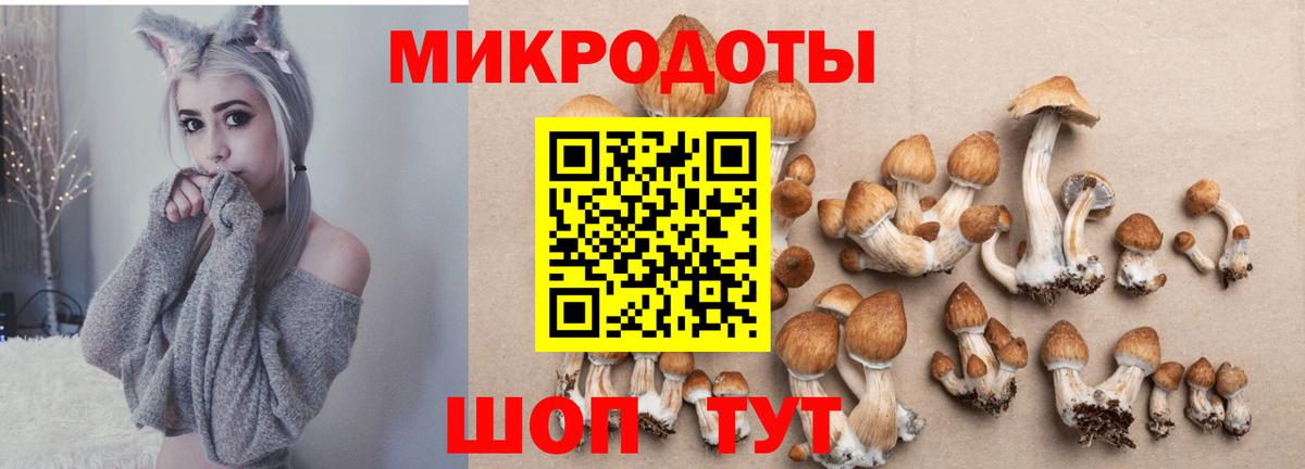 Псилоцибиновые грибы мицелий Вичуга